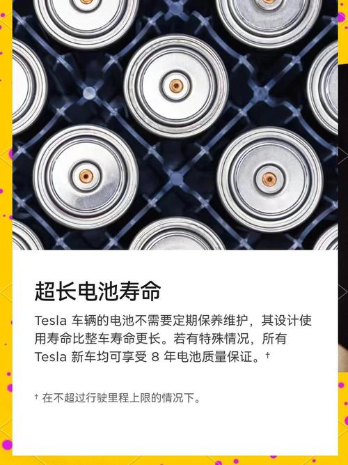 2023款特斯拉model3(2023款特斯拉model3电池容量)