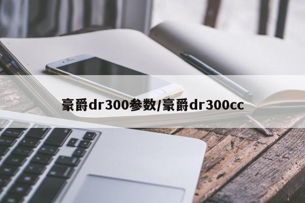 豪爵dr300参数/豪爵dr300cc