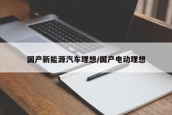 国产新能源汽车理想/国产电动理想