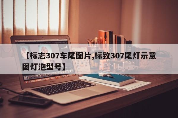 【标志307车尾图片,标致307尾灯示意图灯泡型号】